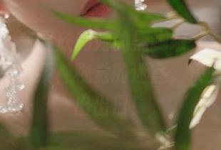 微密圈 – 宋昱欣和她的黑蝴蝶，写真精选像是开启了某种视觉的迷宫，快来试试找出出口！
