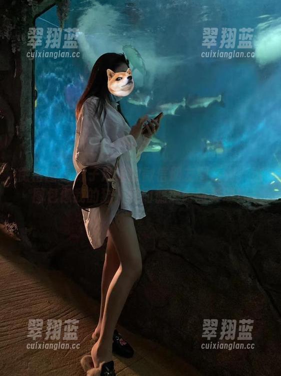 林子琳喵 微密圈 - 林子琳喵的微信朋友圈系列:这图包像我的猫,时而慵懒时而灵动!